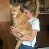 yourekitten